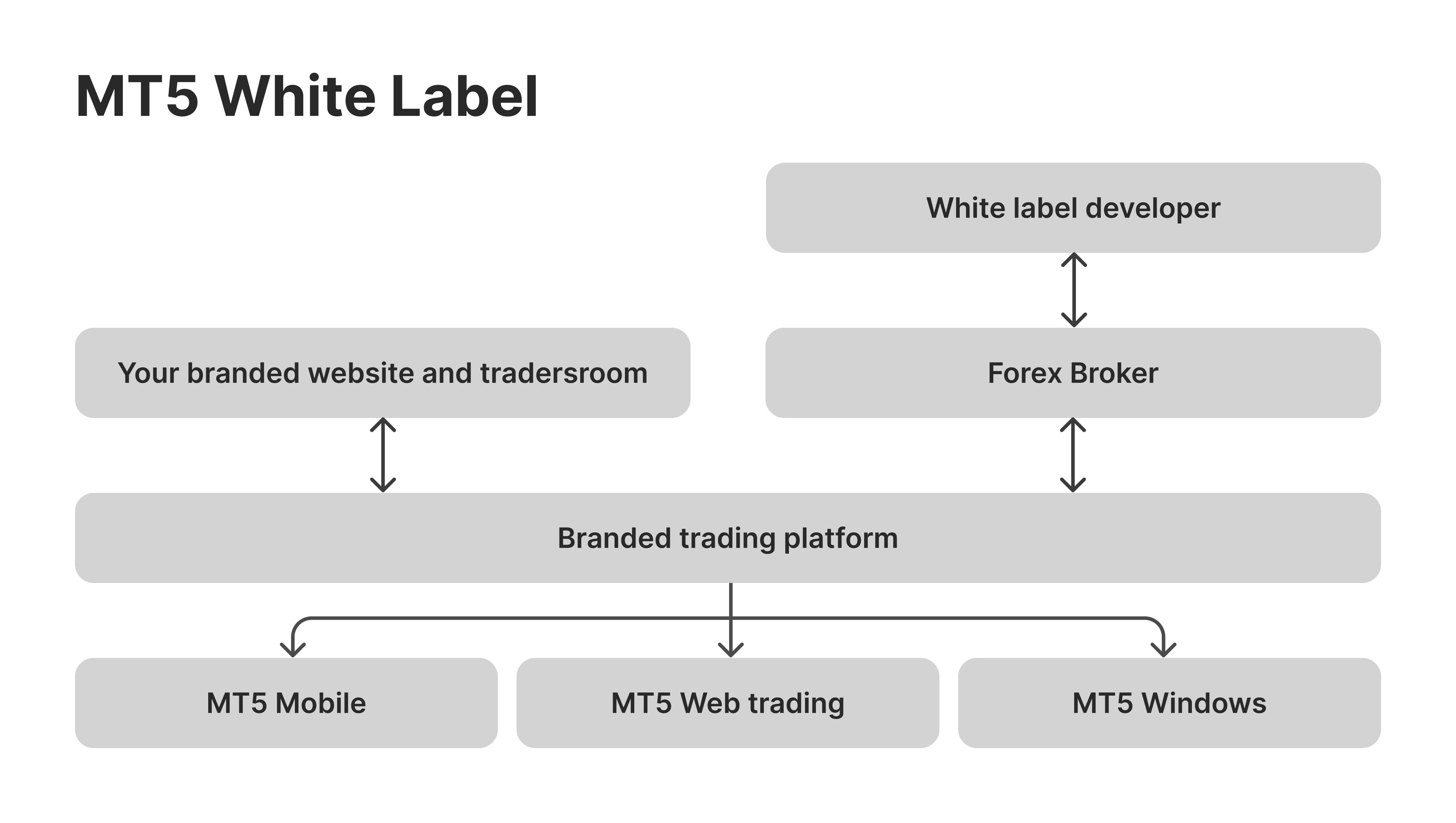 Creating a white label FX brokerage