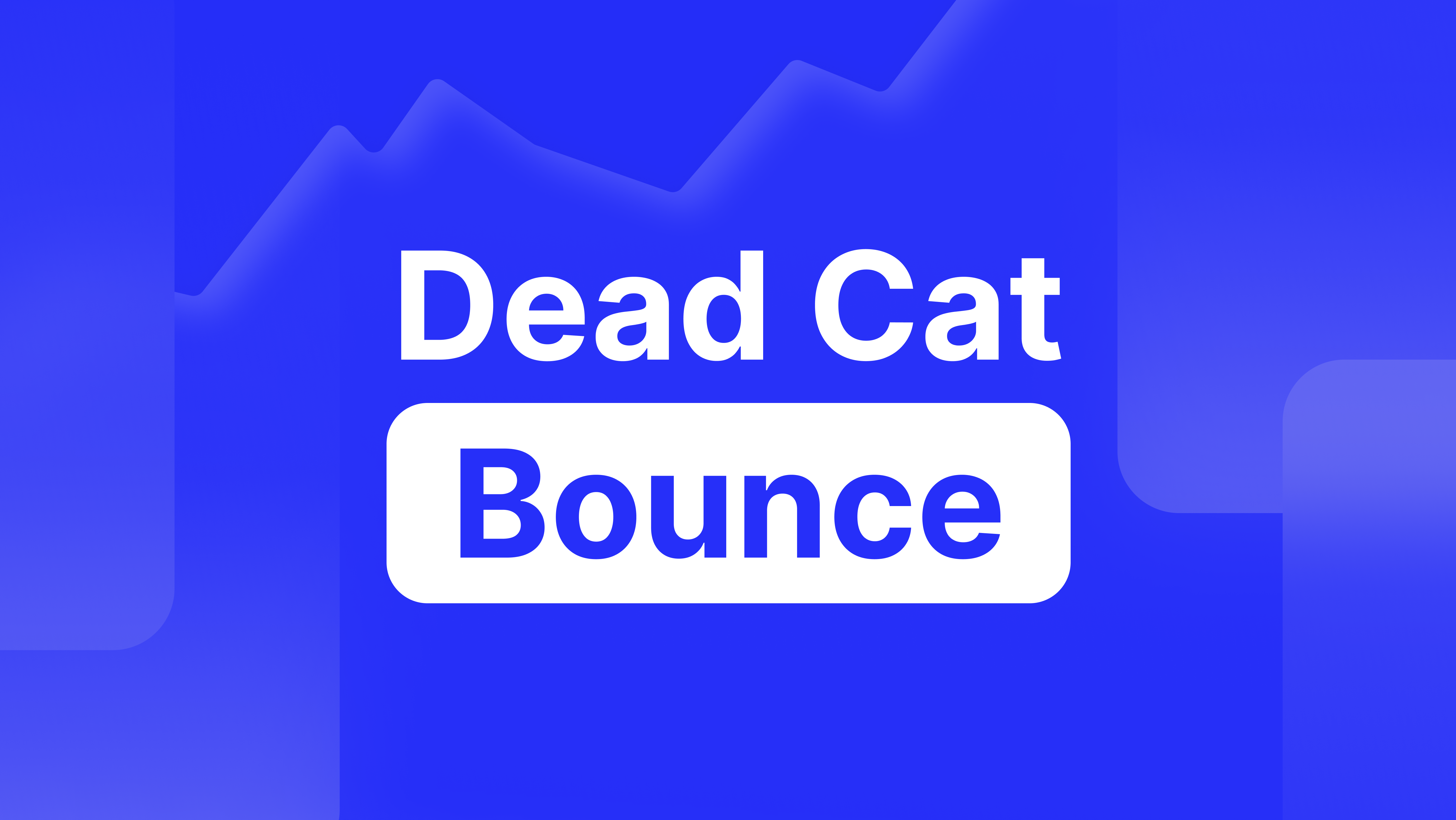 Dead Cat Bounce in Investing