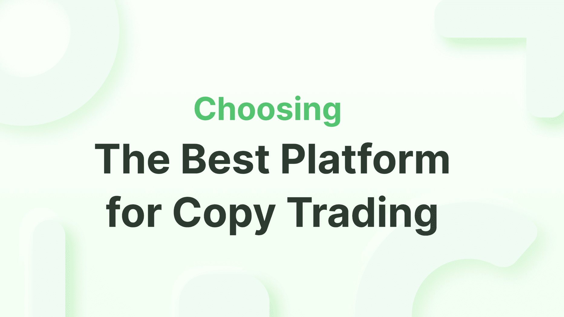 Choosing The Best Platform for Copy Trading in 2024