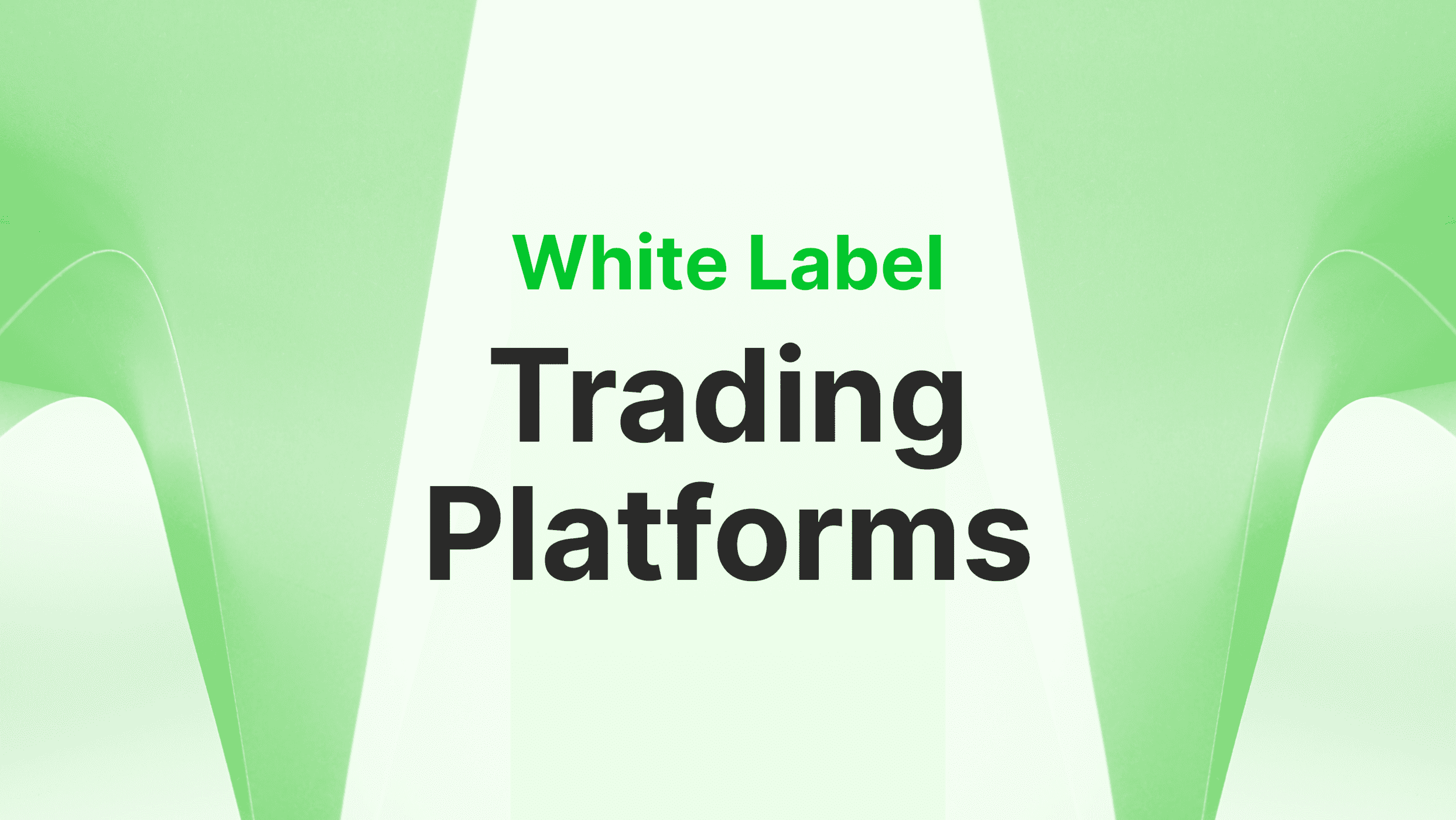 Top White Label Trading Platforms of 2024