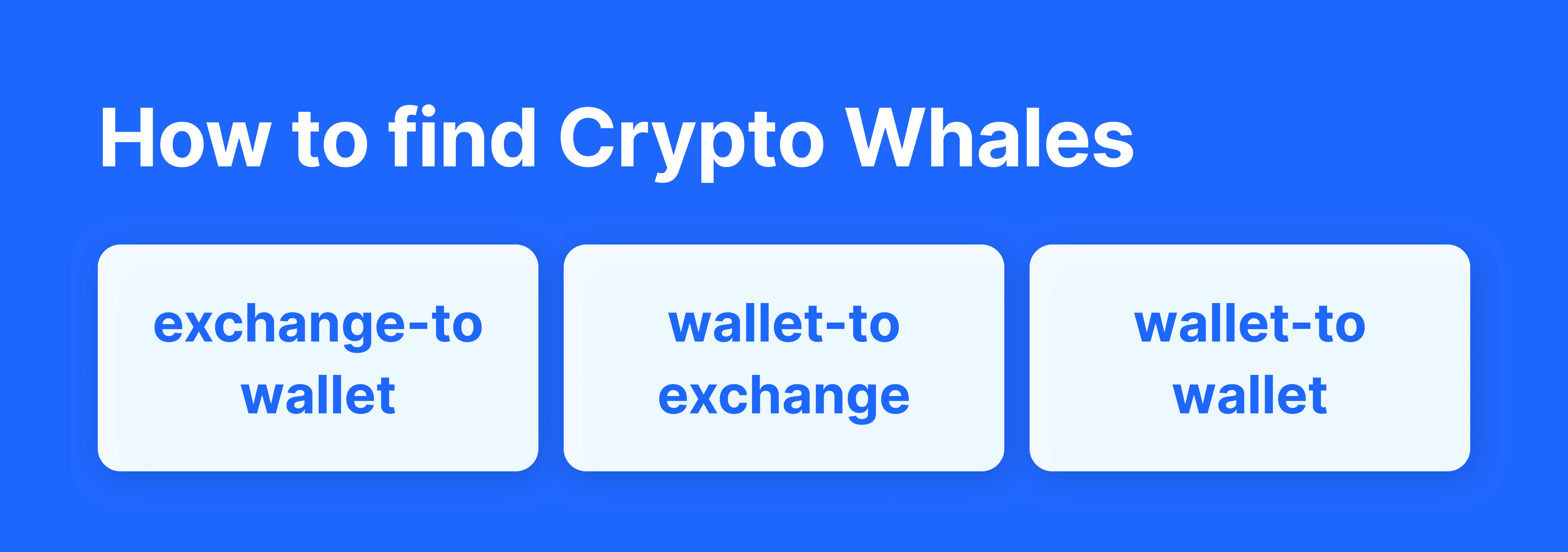 How to find Crypto Whales