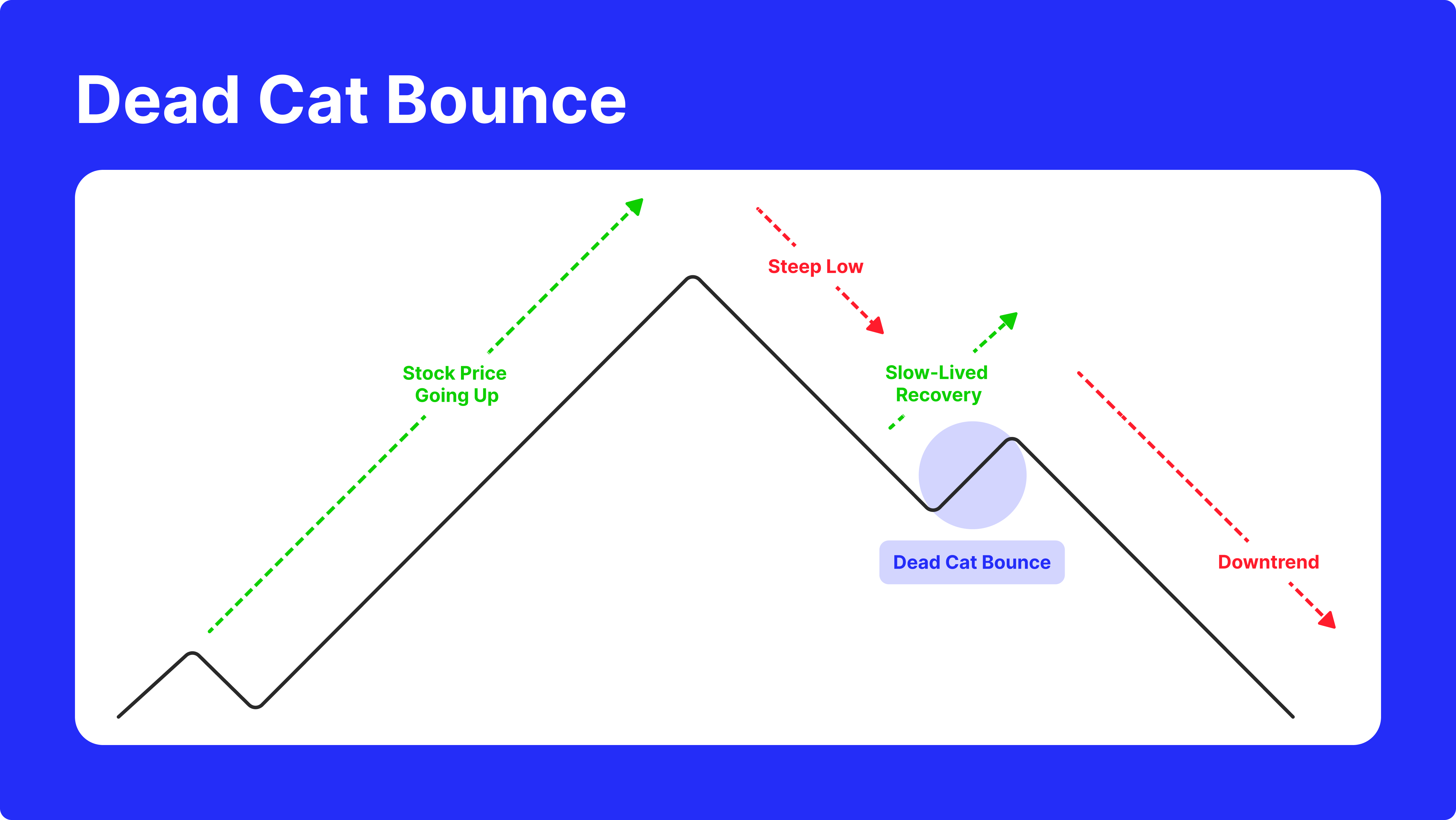 dead cat bounce meaning