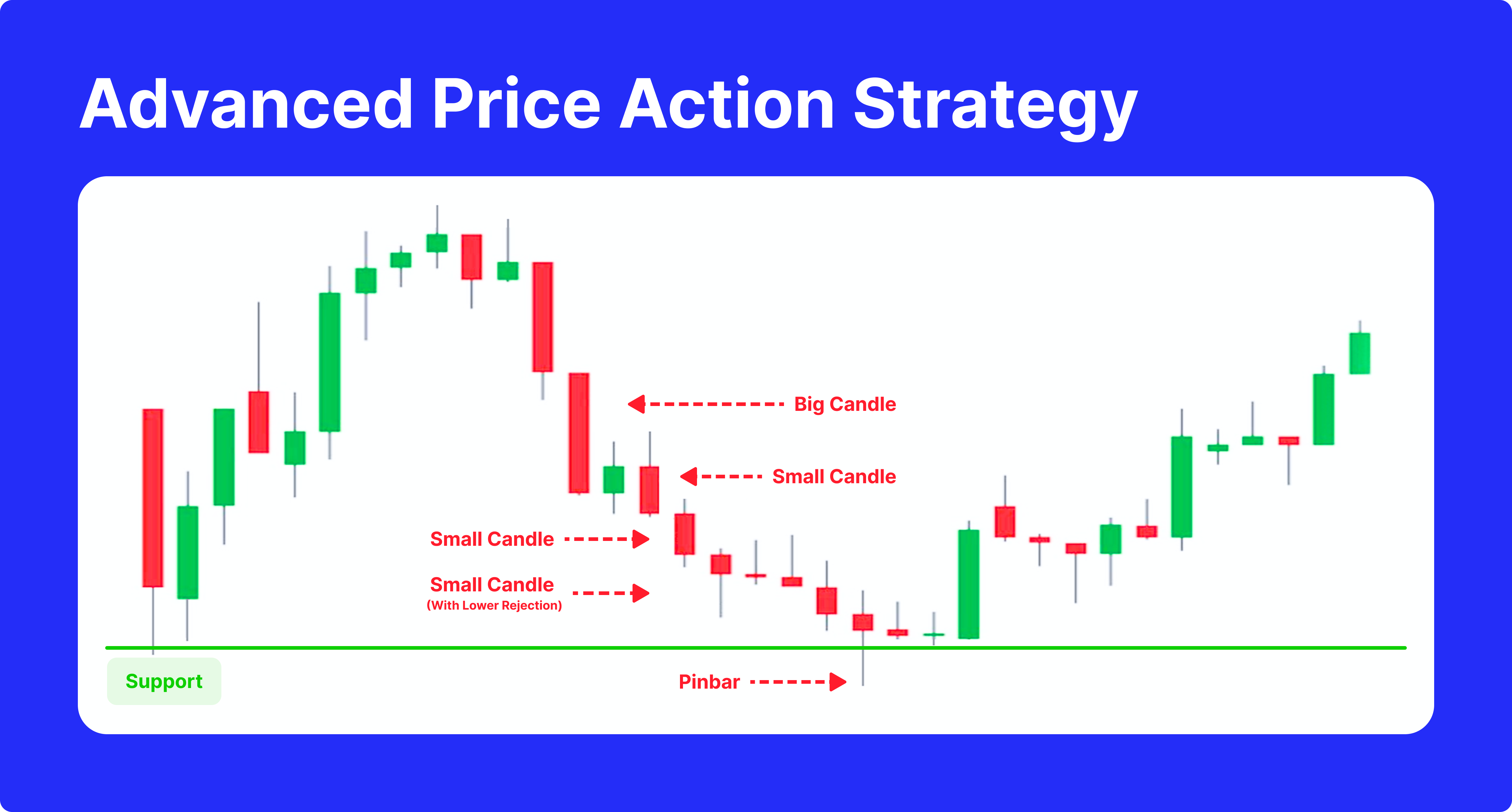 dead cat  price action strategy