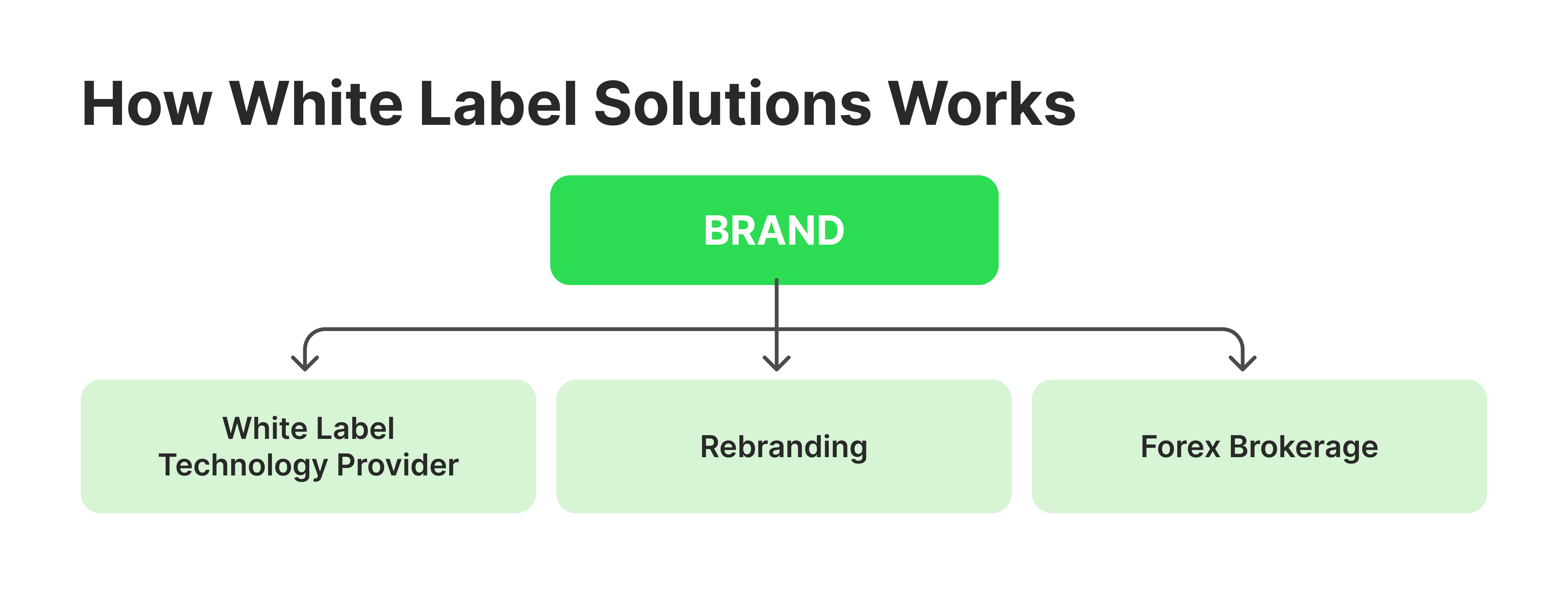 how white label platforms work