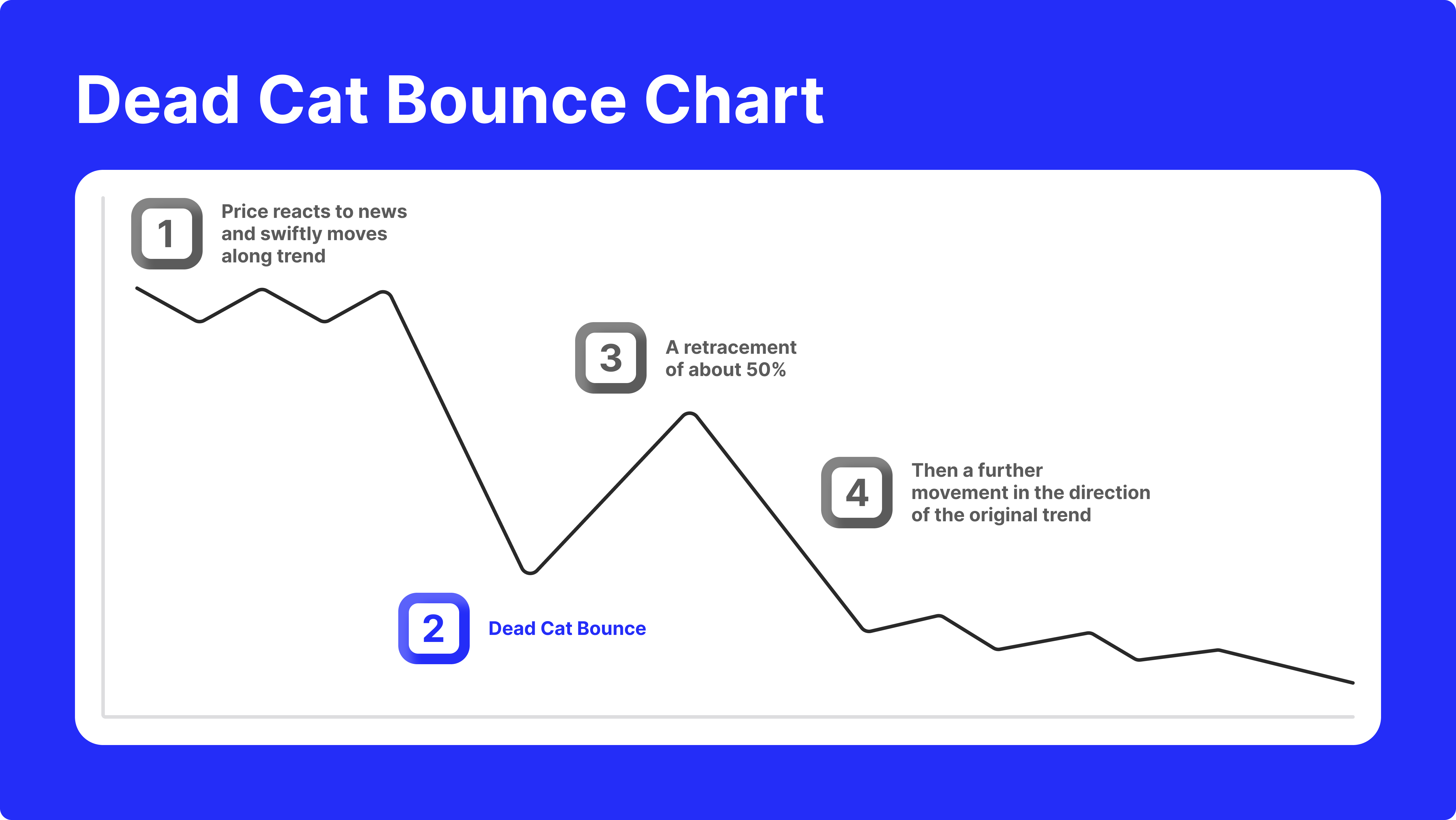 what happens during dead cat bounce